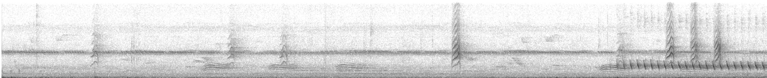 Artamo Ventriblanco - ML646781657