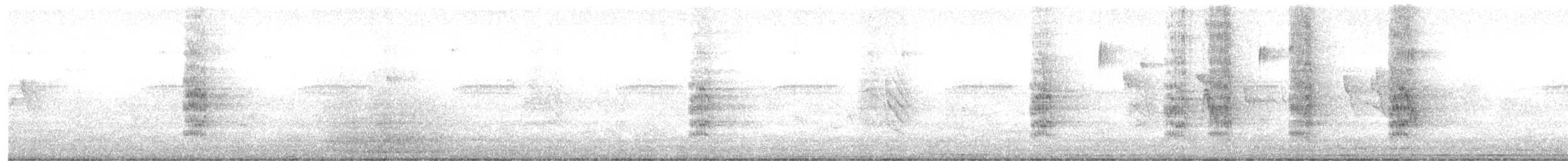 Catita Tirica - ML646782319