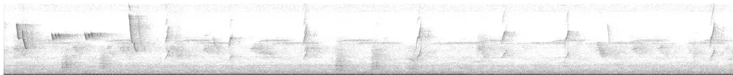 Chirigüe Azafranado - ML646782334