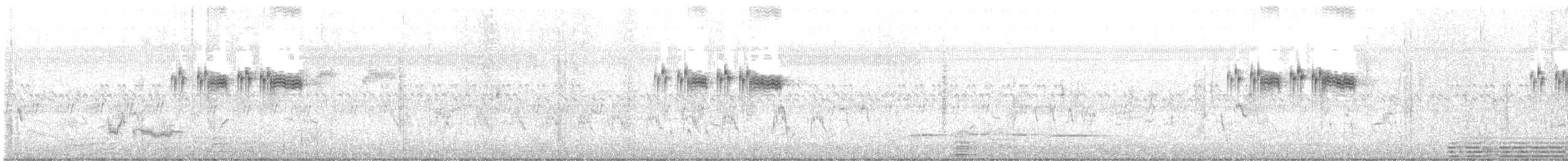 Himalajaschwirl - ML646782836