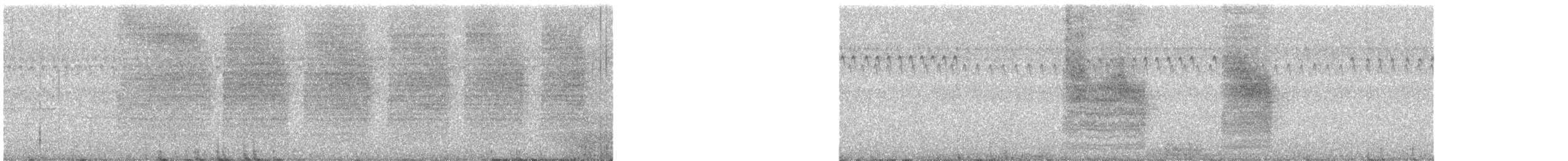 Northern House Wren - ML646783493