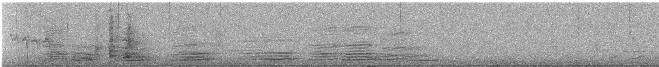 Australian Raven - ML646783624