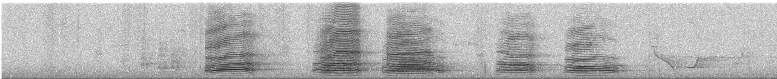 Australian Raven - ML646783625