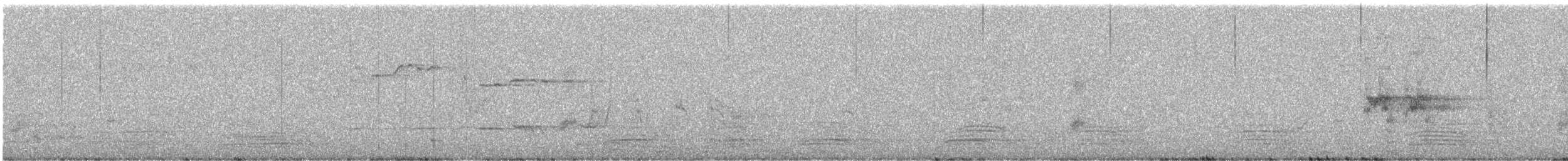 Gray Fantail (preissi) - ML646783627