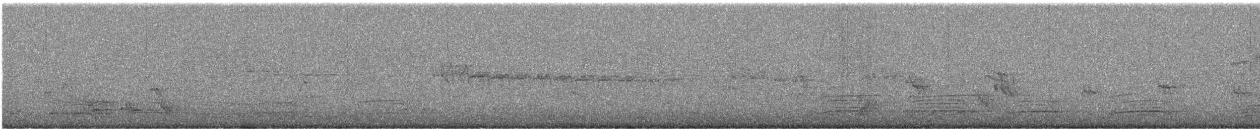 Magpie-lark - ML646783631