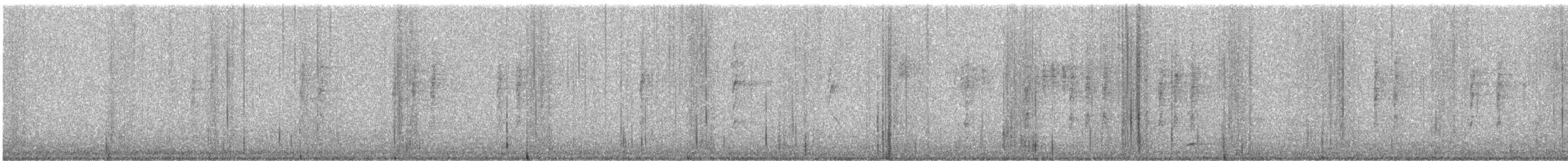 New Holland Honeyeater - ML646783643