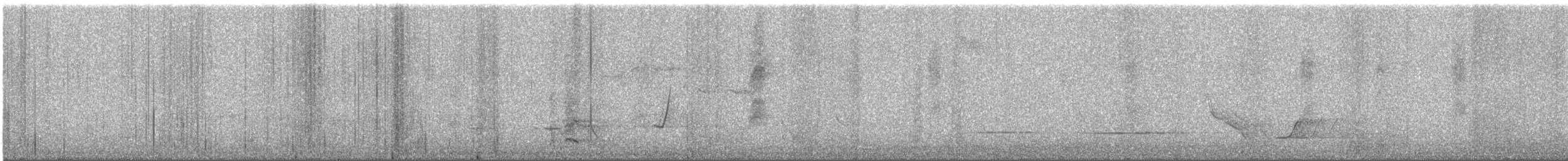 Red Wattlebird - ML646783645