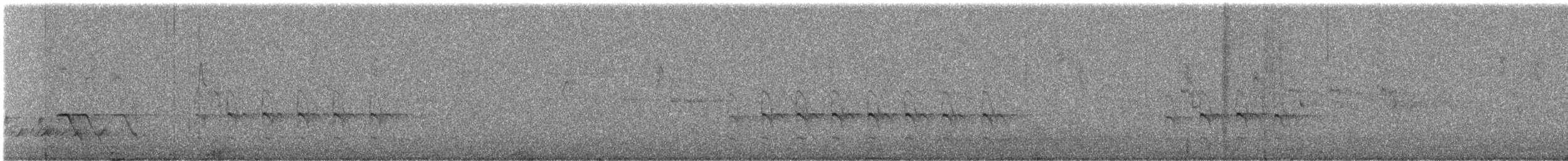 ヒジリショウビン（sanctus） - ML646783658