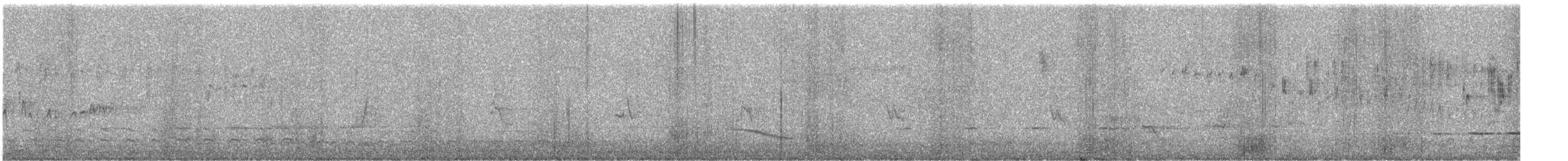 ニシキリハシミツスイ - ML646783660