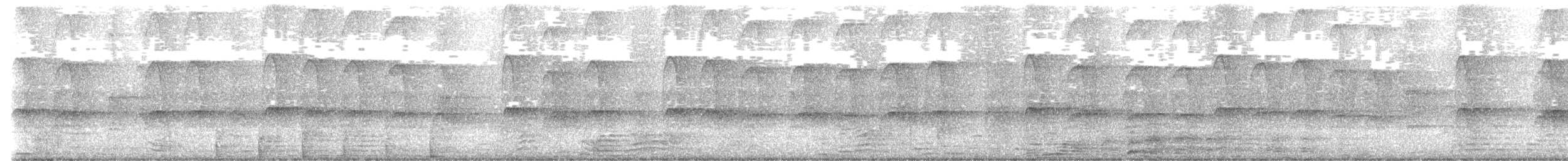 Southern Palawan Tree Squirrel - ML646784104