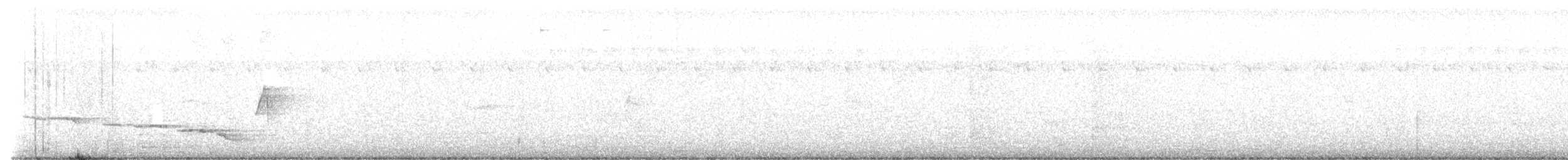 White-vented Shama - ML646784170