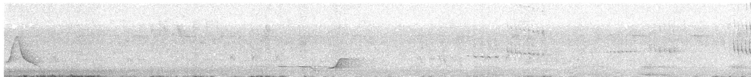 Black-faced Monarch - ML646784173