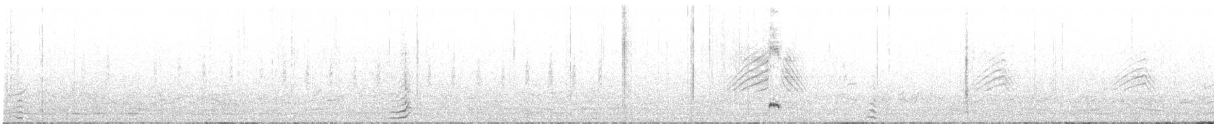 Yellow-billed Pintail (South Georgia) - ML646784189