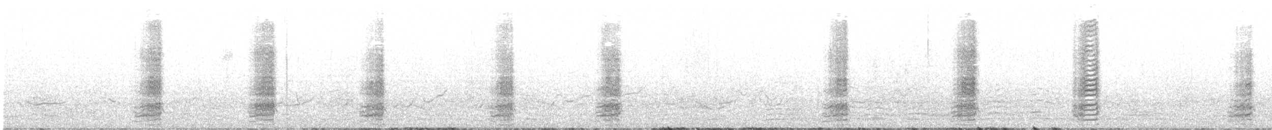 Yellow-billed Pintail (South Georgia) - ML646784203