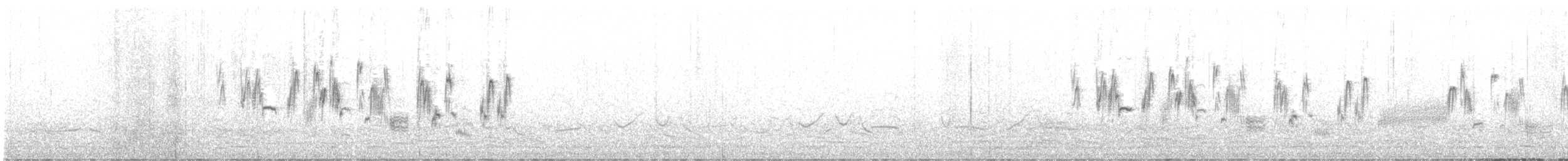 South Georgia Pipit - ML646784247