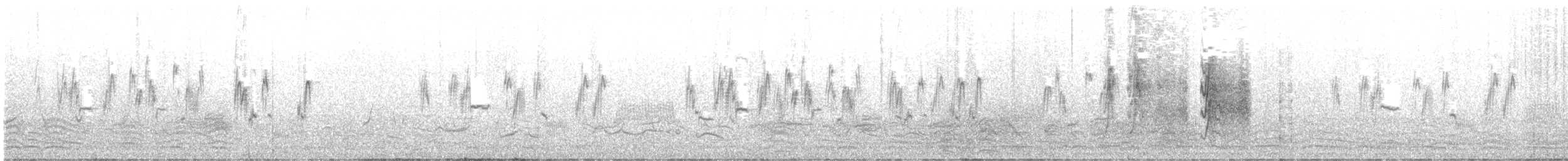 South Georgia Pipit - ML646784275