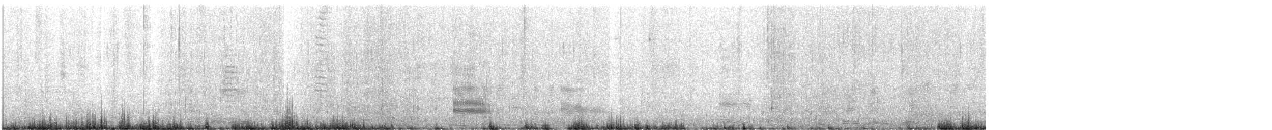 White-capped Albatross - ML646784302