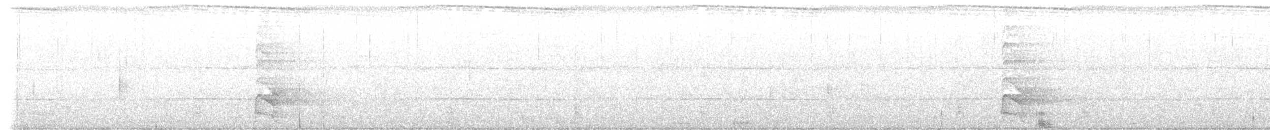 White-bellied Woodpecker - ML646784311