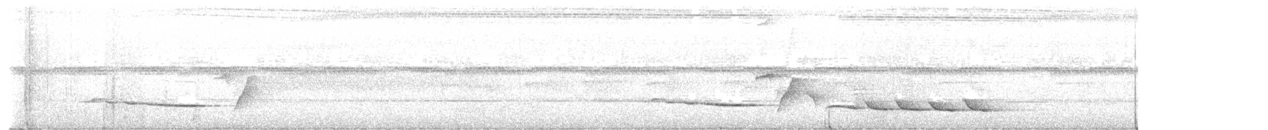 White-vented Shama - ML646784316