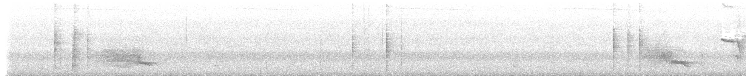 White-vented Shama - ML646784322