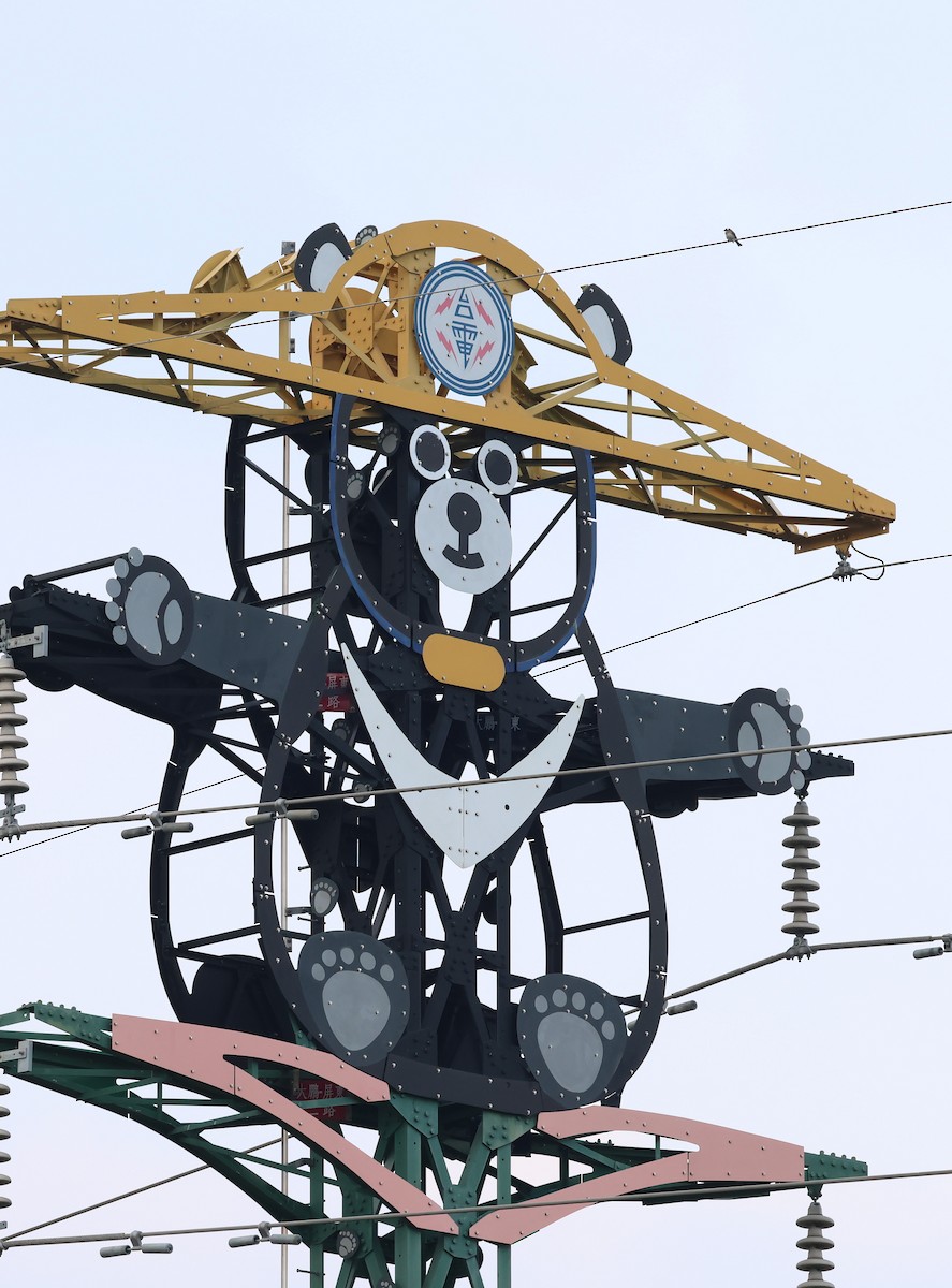 Китайский бюльбюль - ML646784463