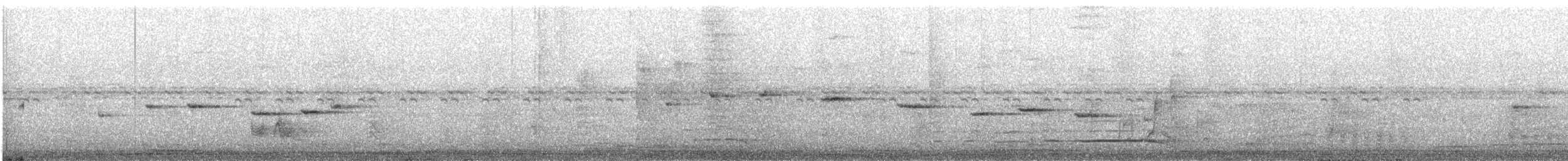 White-throated Fantail - ML646784512