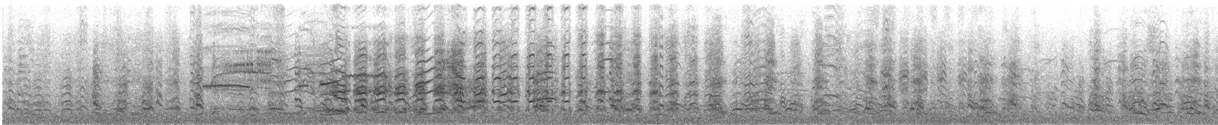 racek magellanský - ML646784555