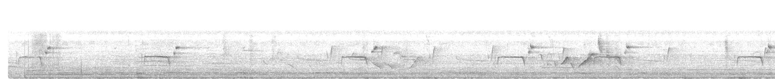 Ashy Tailorbird - ML646784706