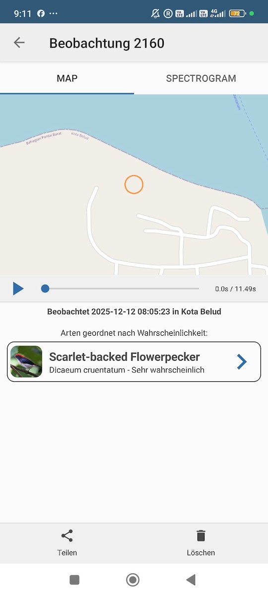 Scarlet-backed Flowerpecker - ML646784777