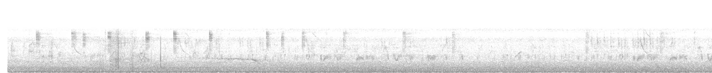 jora černokřídlá - ML646784790