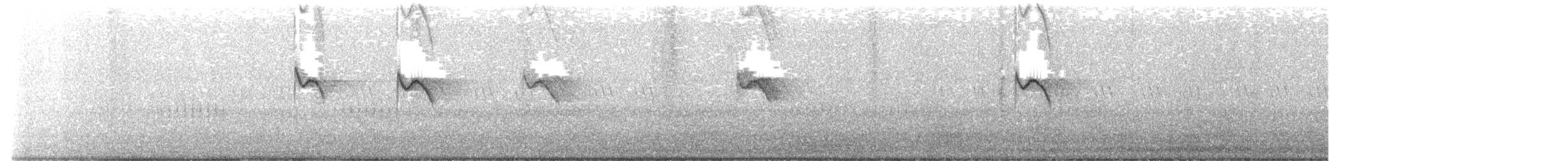 vlaštovka pacifická - ML646784808