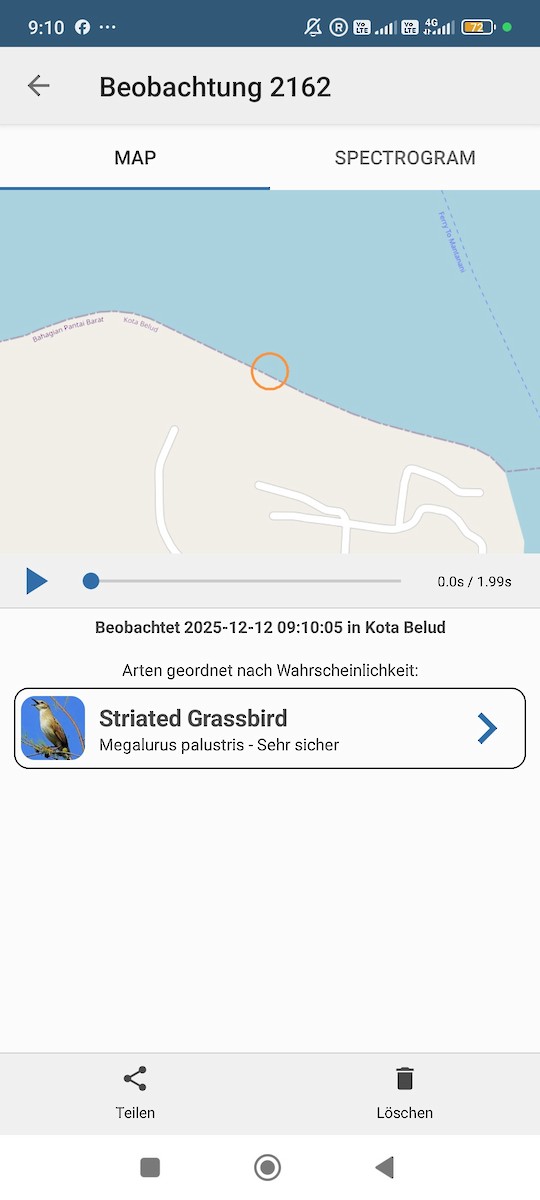 オニセッカ - ML646784849