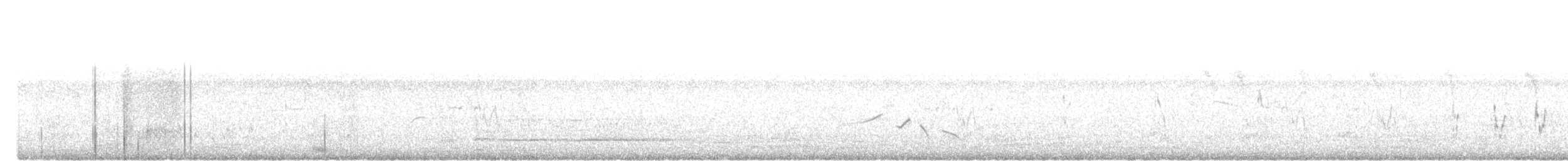 オニセッカ - ML646784852