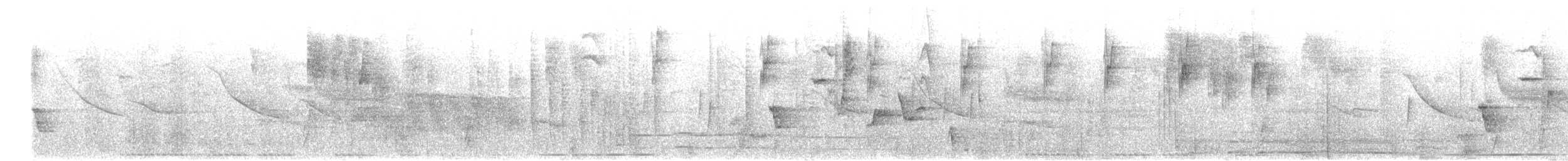 drozd oranžovozobý [skupina aurantiirostris] - ML646784863