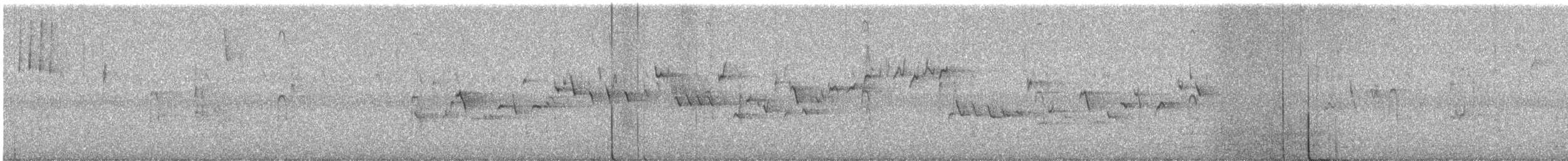 střízlík kanadský - ML646785019