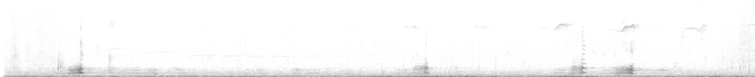 berneška velká - ML646785158