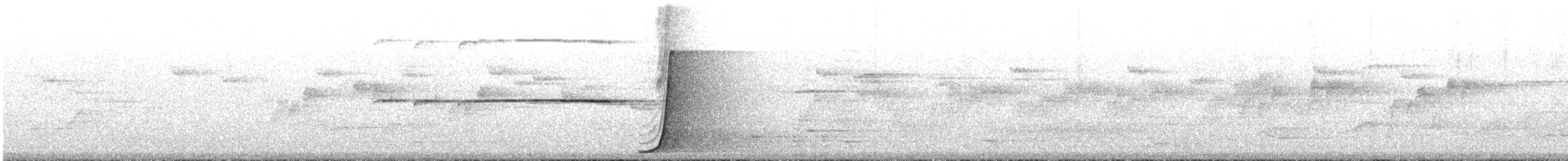 Eastern Whipbird - ML646785347