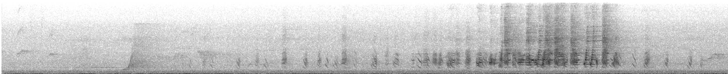 Noisy Friarbird - ML646785357