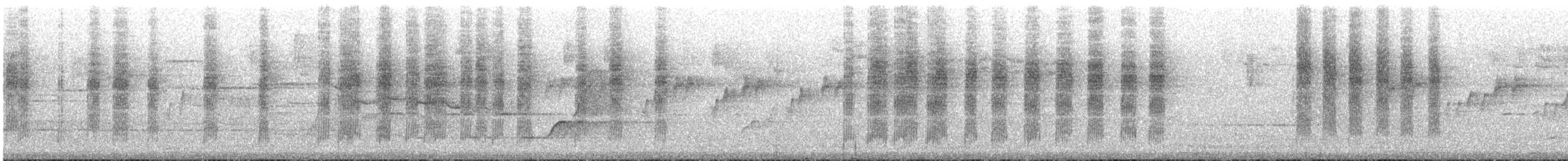 Brown Thornbill - ML646785368