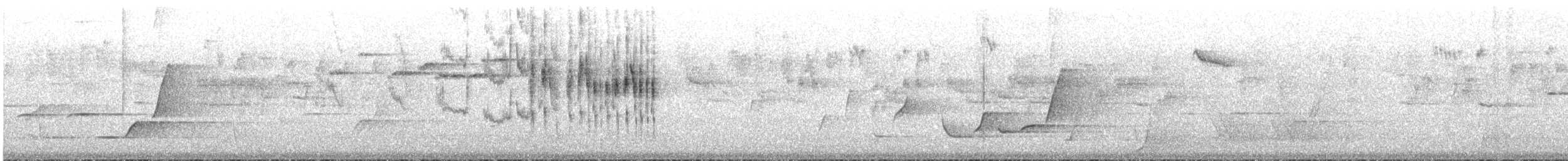 Variegated Fairywren - ML646785381