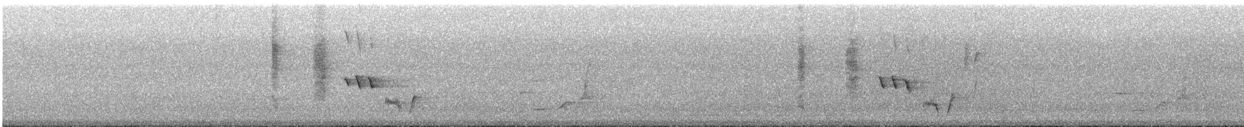 Brown Thornbill - ML646785390