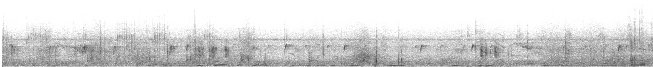 Тайваньская синехвостка - ML646785400