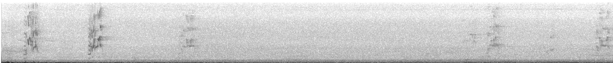 Scaly-breasted Lorikeet - ML646785401