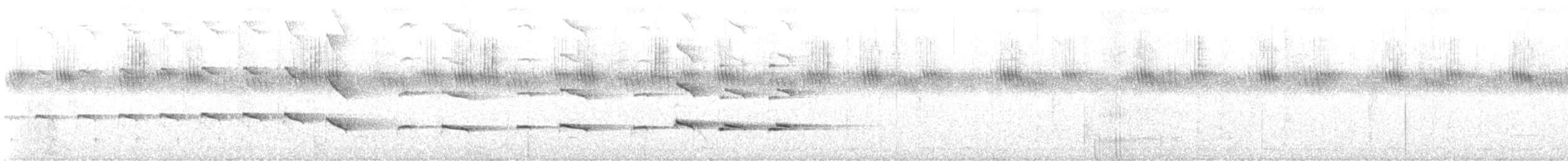 African Gray Hornbill