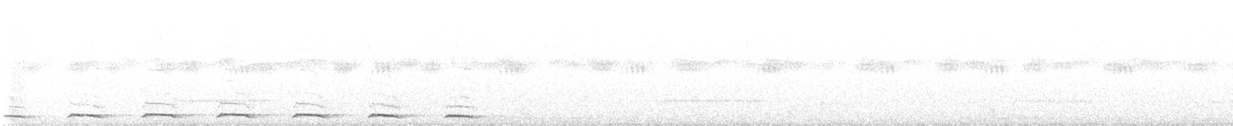 African Barred Owlet