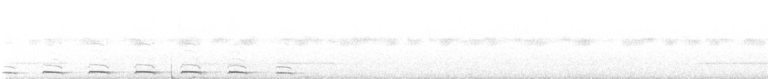 African Barred Owlet - ML646785646