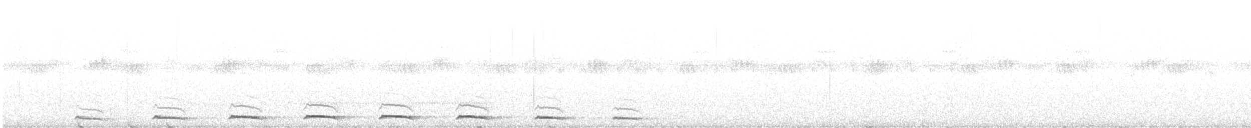 African Barred Owlet