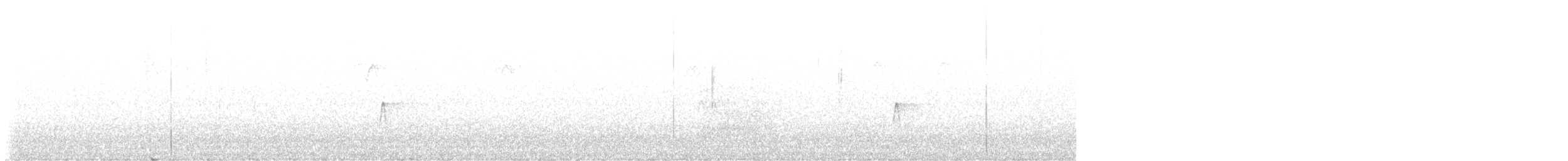 Hammond's Flycatcher - ML646785864