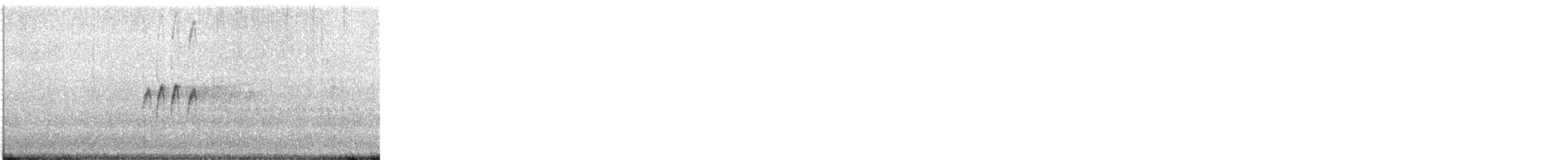 Trauerkönigstyrann - ML646786085