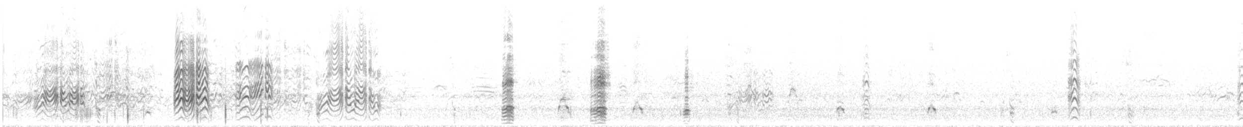 烏領燕鷗 - ML646786133